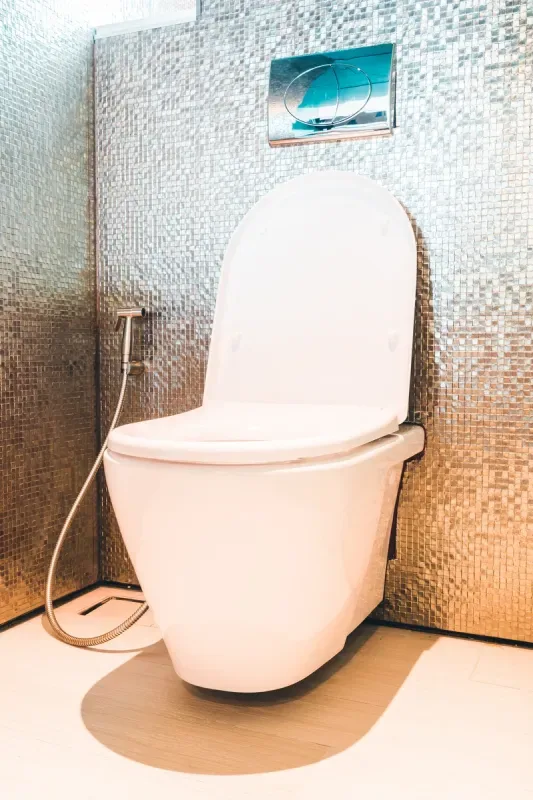 toilet-repair-near-me